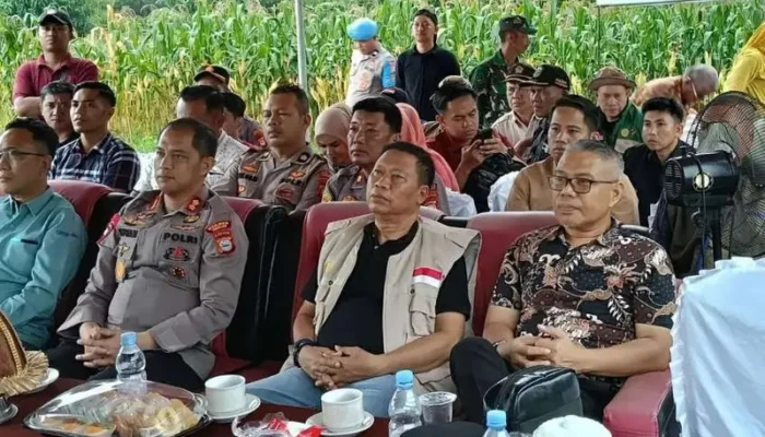 Panen Raya Jagung 2026, Pemda Takalar Bersinergi Dukung Program ASTACITA Presiden Prabowo