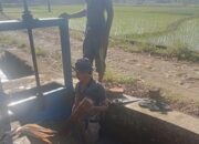 Irigasi Pamukkulu Layani 6.130 Hektare Sawah, Kapasitas Talang BP.3 Jadi Titik Lemah Bagi Petani Takalar