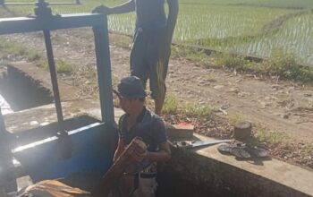 Irigasi Pamukkulu Layani 6.130 Hektare Sawah, Kapasitas Talang BP.3 Jadi Titik Lemah Bagi Petani Takalar
