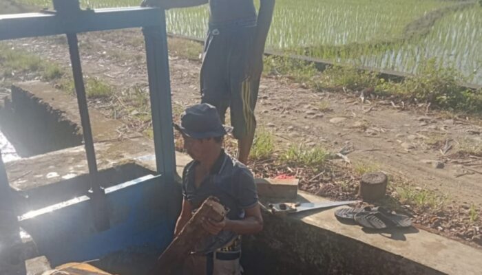 Irigasi Pamukkulu Layani 6.130 Hektare Sawah, Kapasitas Talang BP.3 Jadi Titik Lemah Bagi Petani Takalar