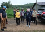 Tinjau Tiga Ruas Jalan di Tinggimoncong Malino, Bupati Gowa Talenrang Dorong Akses Pertanian dan Wisata Lebih Baik