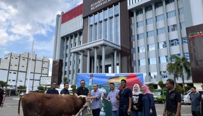Kejati Sulsel Tebar Kepedulian, 11 Ekor Sapi Kurban Disalurkan untuk Masyarakat