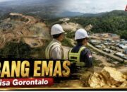 Harta Karun Baru di Gorontalo, Tambang Emas Pani Simpan 7 Juta Ounces Emas
