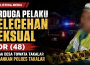 Viral di Medsos, BDR Warga Towata Diamankan Polres Takalar Terkait Dugaan Pelecehan Seksual terhadap Perempuan Muda