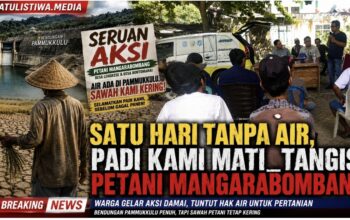 Wakil Bupati Takalar Janji Carikan Solusi, Petani Mangarabombang Minta Air Irigasi Segera Dialirkan: Satu Hari Tanpa Air, Padi Kami Mati