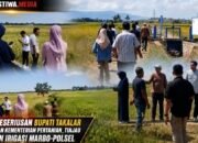 Bukti Keseriusan Pemkab Takalar, Kementerian Pertanian Turun Langsung Tinjau Saluran Irigasi di Marbo dan Polsel
