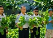 Tak Sekadar Menjalani Hukuman, Warga Binaan Lapas Takalar Berhasil Panen Sawi 14 Kilogram