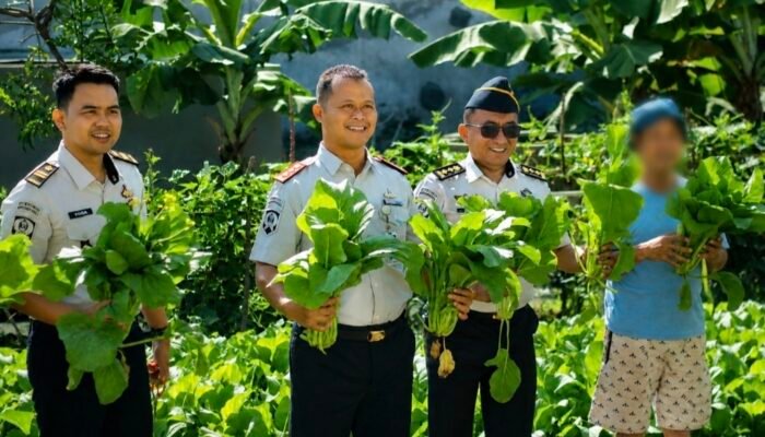 Tak Sekadar Menjalani Hukuman, Warga Binaan Lapas Takalar Berhasil Panen Sawi 14 Kilogram