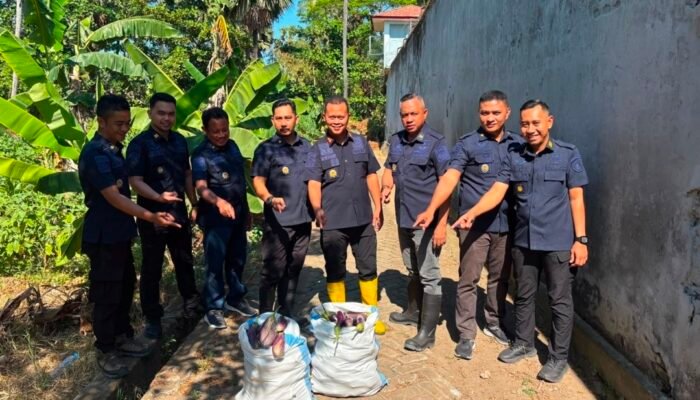 Lapas Takalar Panen 34 Kilogram Terung, Wujud Keberhasilan Pembinaan dan Dukung Kemandirian Pangan