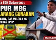 BGN Tegas! Dapur MBG Dilarang Gunakan Barang Subsidi, Langgar Siap-Siap Ditutup