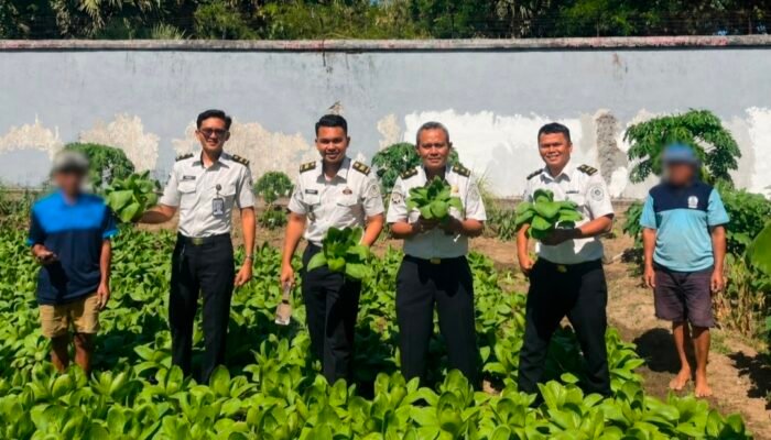 Panen 50 Kg Pakcoy, Lapas Takalar Komitmen Perkuat Ketahanan Pangan