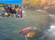 Mayat Perempuan Tanpa Identitas Mengapung di Sungai Kelara Jeneponto