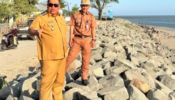 Bupati Takalar Daeng Manye Tinjau Tanggul Abrasi Punaga Kecamatan Laikang
