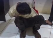 Dituduh Selingkuh, Istri di Bone Diduga Disiram Bensin dan Dibakar Suami