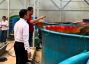 Usai Tak Lagi Menjabat Menkeu, Purbaya Yudhi Sadewa Pamer Momen Santai: Kasih Makan Ikan Sebelum Mancing