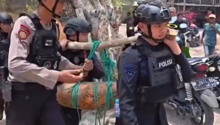 Gegana Brimob Polda Sulsel Musnahkan Bom Pesawat Peninggalan Jepang di Pinrang