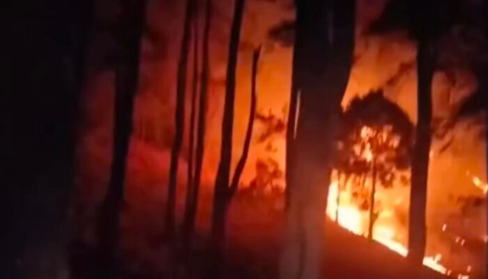 Kebakaran Hutan Pinus di Malino Gowa Meluas, Api Muncul di Dua Titik