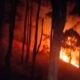 Kebakaran Hutan Pinus di Malino Gowa Meluas, Api Muncul di Dua Titik